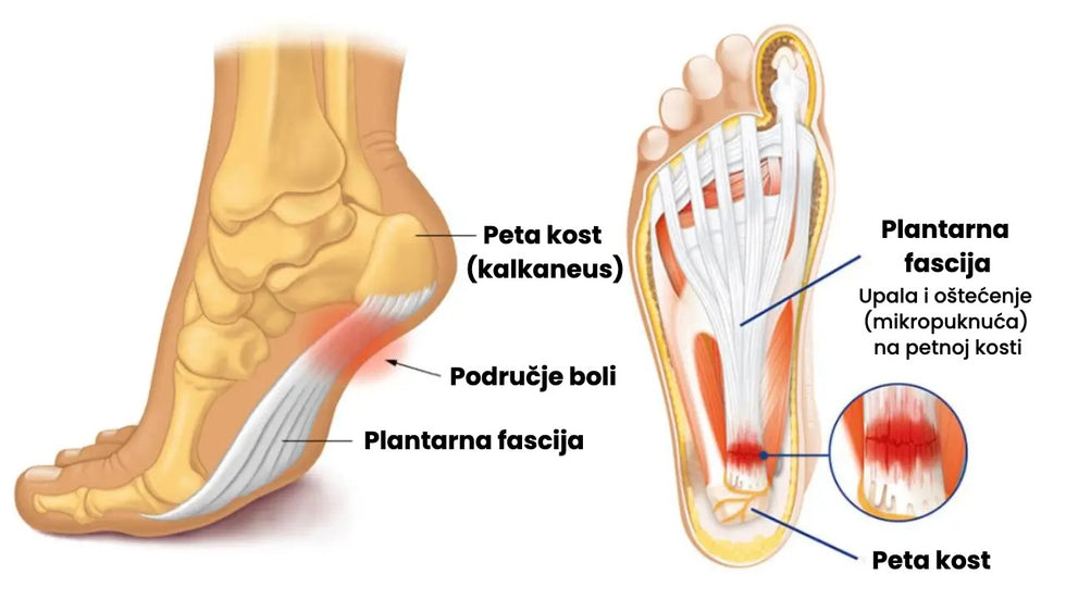 Illustrazione